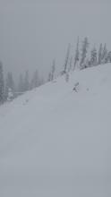 Andesite Ridge ~8,000', 14 inches of new snow.