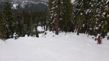 Snowcover of about 14 inches at about 7,350'