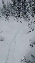 Supportable snow cover at ~7,900' between the Grub Hut and Castle Pass.