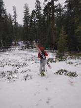 Snow coverage at 7500 ft.