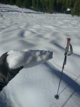 Breakable rain crust and rain runnels in a meadow at 7800 ft. 