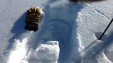 One of several hand pits indicating good bonding of recent storm snow to the rain cust below.