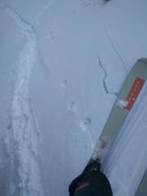 Skier triggered cracking on a NE facing wind-loaded test slope at 8800 ft. that was previously undercut.