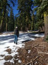 Snow coverage at 7400 ft. 