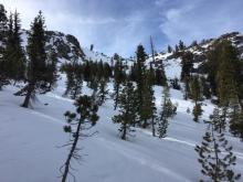 Soft near surface facets in the trees with wind scoured surfaces below ridge.