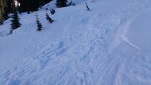 Small wind slabs reactive to ski cuts. N aspect ~9,100'.