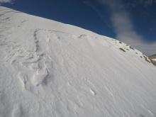 Old crown below east facing ridge