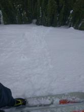 Small loose wet roller balls on a N facing slope at 8000 ft. 