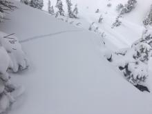 Large shooting cracks where storm snow sits on top of old near surface facets.  9400' N aspect.