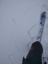 Skier triggered cracking on a northerly aspect at ~8600 ft. where a 10 ft. x 10 ft. whumpf occurred. The weak layer was moist facets below a rain crust at the base of the new snow.