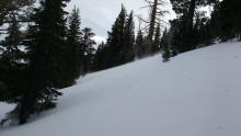 Blowing snow below treeline.