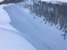 Avalanche debris from early in the storm almost entirely covered up.  Cornice failure and/or wind slab avalanche release.  9300', N aspect.