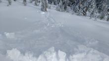 Intentionally collapsing cornice pieces onto wind loaded slopes near the summit of Andesite Pk produced no slab failure, just entraining of loose dry snow.