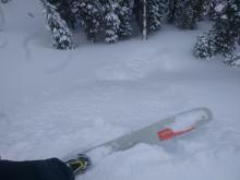 Loose dry sluff triggered by a ski cut on a steep below treeline test slope. N aspect 7700 ft.
