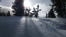 Blowing snow near treeline.