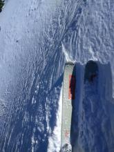 Skier triggered cracks on an E to NE facing wind-loaded test slope.