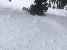 Small surface roller balls on northerly aspects, below 9000', in below treeline terrain.  Some of these were from yesterday.