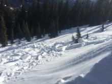 Old wind slab and cornice debris