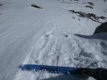 Small roller balls and pinwheels on a SE aspect at 9100 ft. 