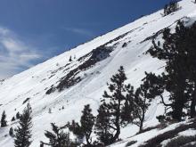 Previous point release loose wet avalanche activity at 9000' on E aspect.