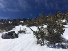 Coverage on SE aspect of Peak 9269' at 8800'.  Little to no continuous snow below 8200'.