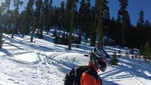 Cold unconsolidated snow under the melt freeze crust on same N aspect at ~7,350'.