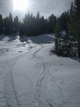 Ski tracks showing soft snow in the shade and icy crusts in the sun.