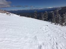 Wind scoured E aspect at 8300' on Grouse Rock.