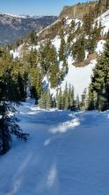 Tale of two aspects - 1.8m deep snowpack on N aspect in the foreground and obvoiusly thin snowpack on solar aspects in the background.