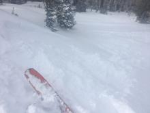 Small wind slab, 8-10'', on N aspect at 9200' in near treeline terrain.