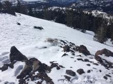 Exposed SW-W aspects at 8200' on Andesite Peak are well scoured with little to no snow available for transport.