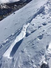 Wind Slab Fracture on Tamarack Peak