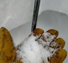 facets at 100cm depth with new snow above showing slab characteristics
