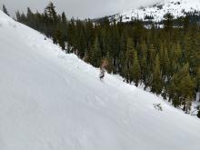 Large pinwheels triggered by ski kicks at the top of the slope on a ENE aspect @ 8000 ft. 