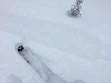 Shooting cracks with wind slab release on E aspect, 8000', on Castle Ridge.