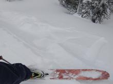 Small skier triggered wind slab on a N facing wind-loaded test slope near 9200 ft.