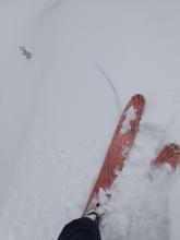 Skier triggered shooting crack on a wind-loaded NE facing test slope near 9000 ft.