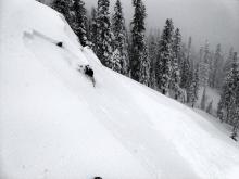 Wind slab in near treeline terrain on an ENE facing slope.