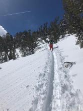 Warm wet surface snow with small roller balls at 9800' SE exposure