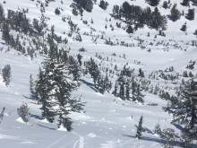 Avalanche debris covered by additional storm snow.  Some broken trees with areas of 6' + of avalanche debris.