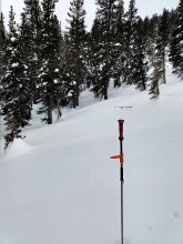 Runnels on an ESE aspect at 9200 ft.