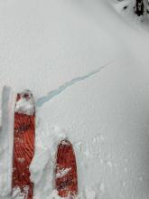 Shooting cracks resulting from heavy storm snow on top of lighter older snow. 