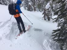 Storm slab cracking and release on small test slope in below treeline terrain.