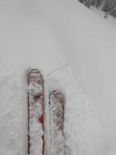 Shooting crack on an E - NE facing wind-loaded slope at 8100 ft. 