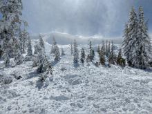 Debris pile at the base of the avalanche.