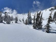 Avalanche on the NE slope just W of Proletariat that may have been more of a wind slab and may not have involved the graupel layer. 