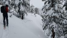 One of at least a half dozen storm slab avalanches that occurred in this area on March 22.