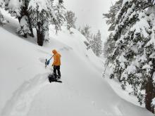 Snowpit tests in the crown indicated that the weak layer was no longer reactive.