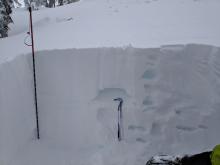 Snowpit on N aspect at treeline to examine rain crust