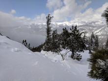 Wind slab on NW aspect near treeline